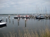 1222350764_img_1058(small)