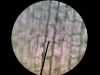 1274184641_foto017(small)