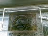 1274184660_foto019(small)