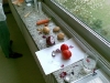 1274184674_foto020(small)