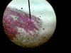 1274184709_foto027(small)