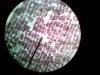 1274184726_foto030(small)