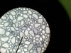 1274184746_foto034(small)