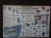 DSCI0003.JPG